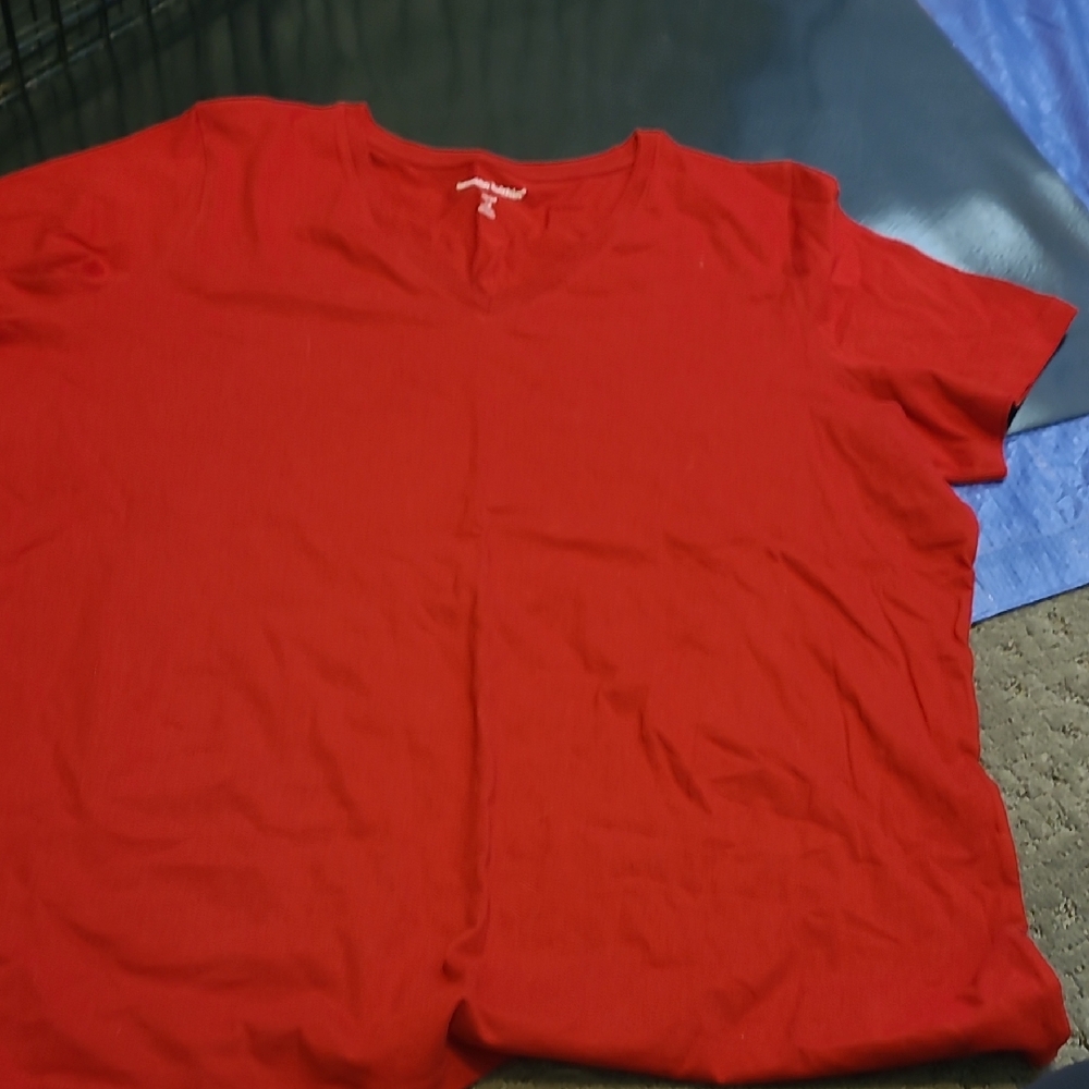 Woman Within Bold Red Top